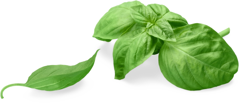 Global Catering_Spice 03